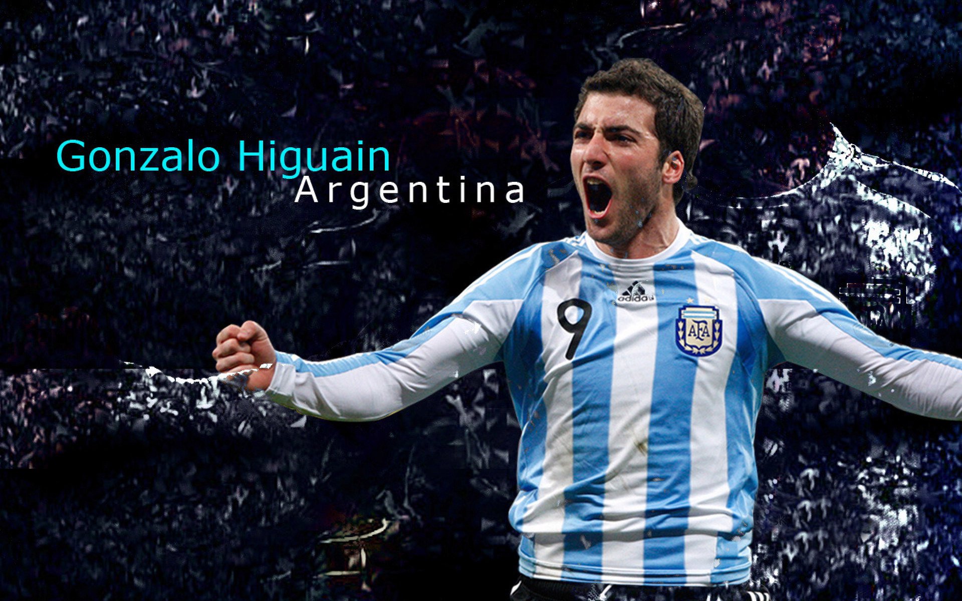 田径赛事吸引大量观众关注